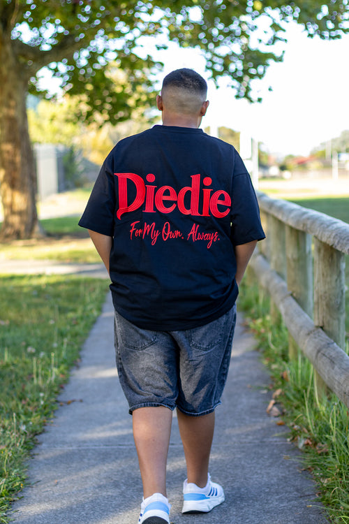 Premium Heavyweight Tee (In stock)